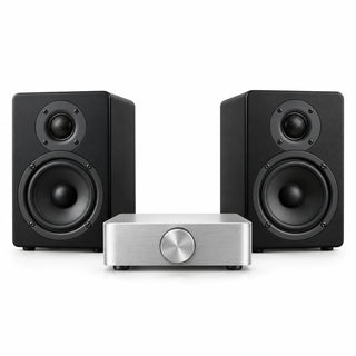 Computer Speakers and Amplifiers
