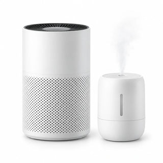 Air Purifiers and Humidifiers