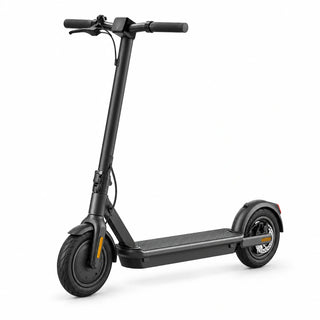 Adult Scooter