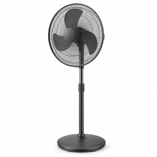 Electric Fan