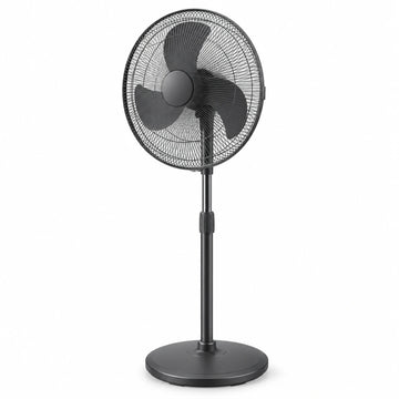 Electric Fan