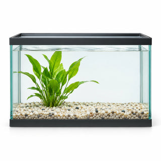 Aquariums