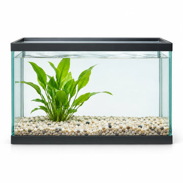 Aquariums